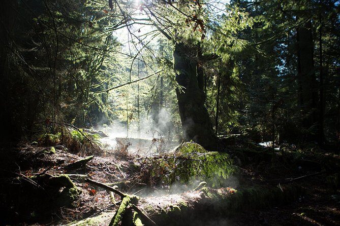 Vancouver Secrets of Stanley Park Walking Tour - Final Thoughts: Is It Worth It?