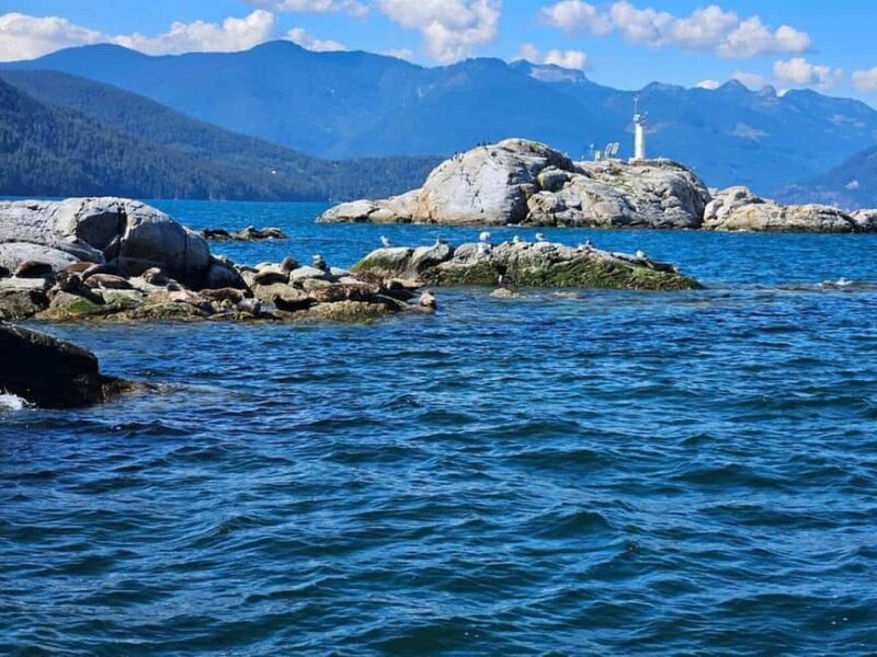 Vancouver: Snorkel, Kayak, and Seal Adventure Boat Tour - An In-Depth Look at the Tour Experience