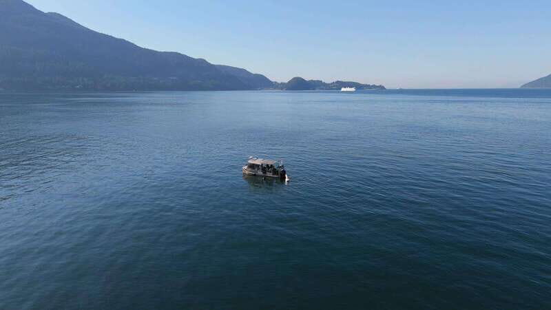 Vancouver: Snorkeling Seals Kayaking Scenic Boat Tour - Who Will Love This Tour?