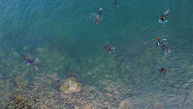 Vancouver: Snorkeling Seals Kayaking Scenic Boat Tour - The Sum Up