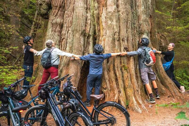 Vancouver: Stanley Park Bicycle Tour - The Sum Up