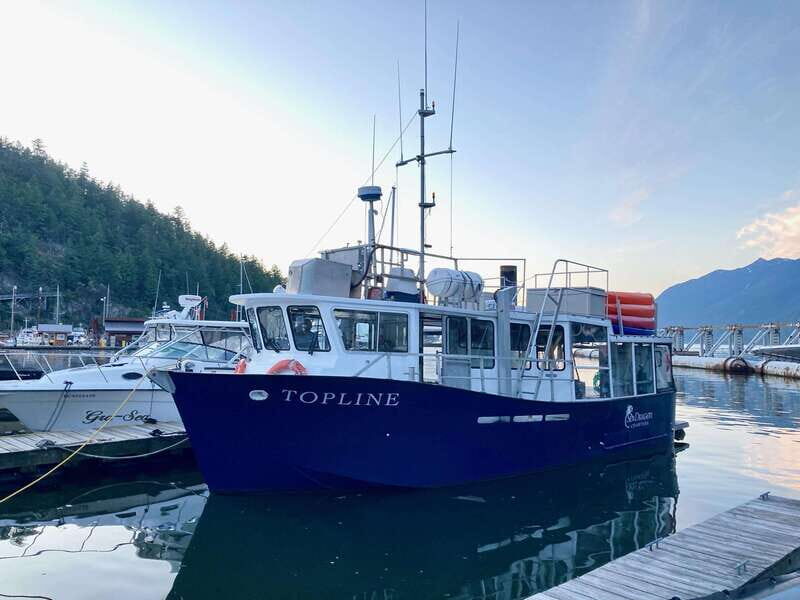 Vancouver: Sunset Boat Cruise with Complementary Bubbly - Vancouver: Sunset Boat Cruise with Complementary Bubbly — A Detailed Review