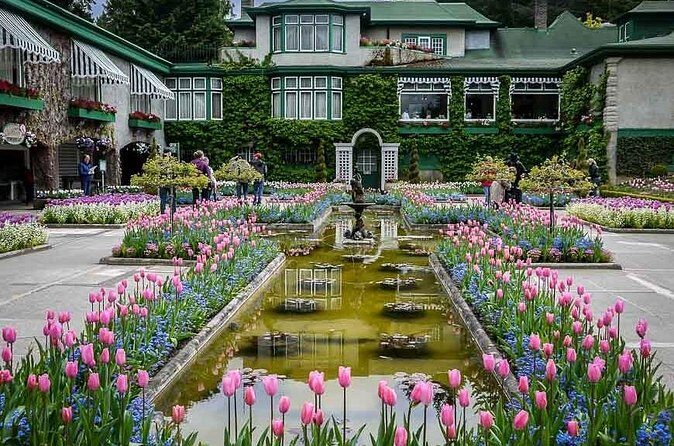 Vancouver to Victoria Private Tour - Price and Value Considerations