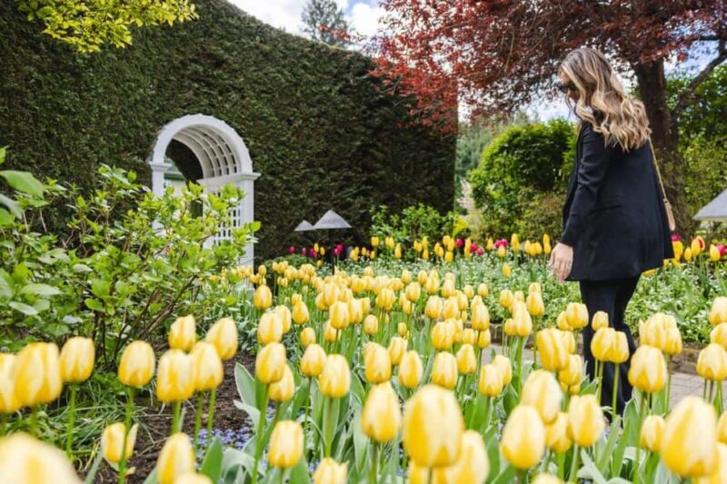Vancouver to Victoria Seaplane Day Trip + Butchart Gardens - Final Thoughts