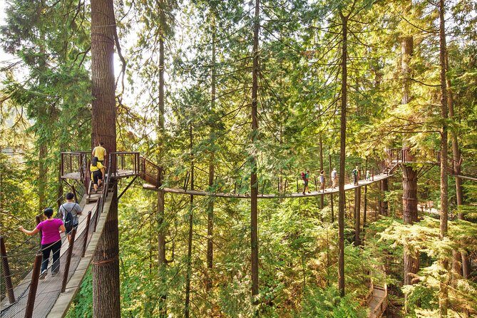 Vancouver Tour: Stanley Park, Granville Island & Capilano Bridge - Practical Details and Tips