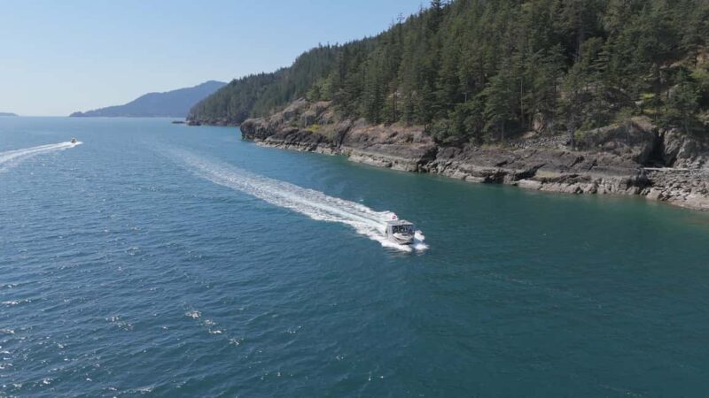 Vancouver UNESCO Biosphere Reserve Wildlife Scenic Boat Tour - Analyzing the Value