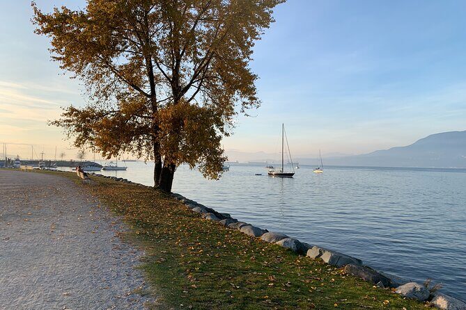 Vancouver Waterfront Guided Bike / Ebike Tour - A Deep Dive into Vancouver’s Waterfront on Two Wheels