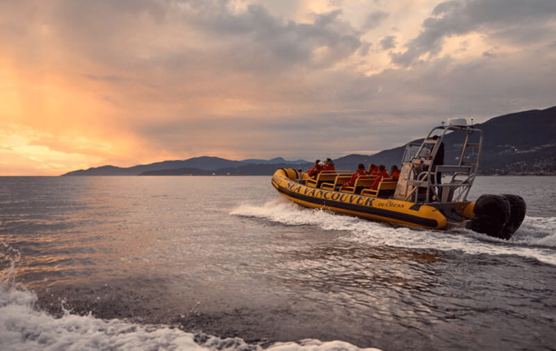 Vancouver: Waterfront Sightseeing Tour - City and Harbour - Who Should Consider This Tour?