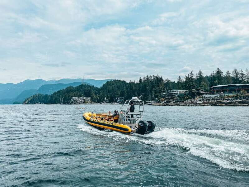Vancouver: Waterfront Sightseeing Tour - City and Nature - Final Thoughts: Is It Worth It?
