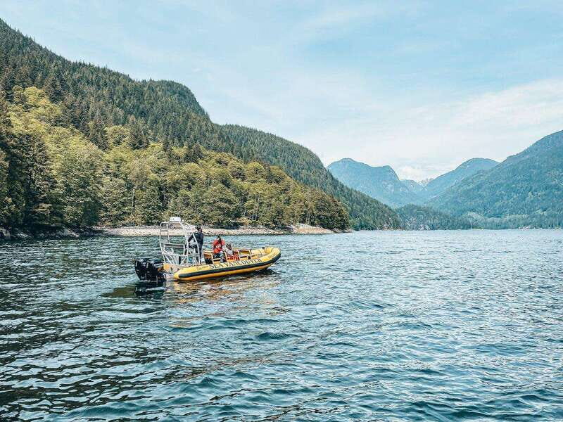 Vancouver: Waterfront Sightseeing Tour - City and Waterfall - Practicalities and What to Expect