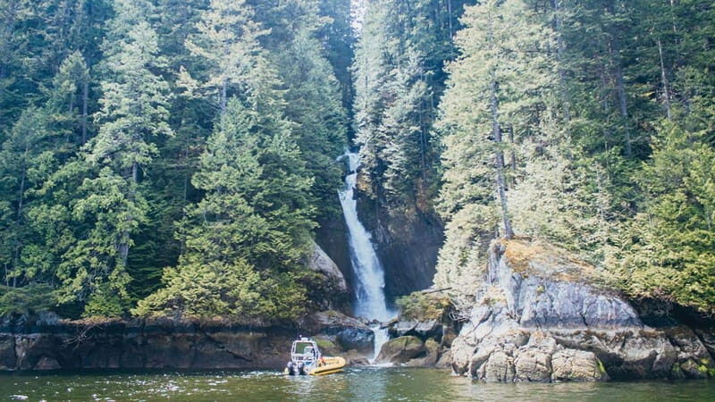 Vancouver: Waterfront Sightseeing Tour - City and Waterfall - The Guide Experience
