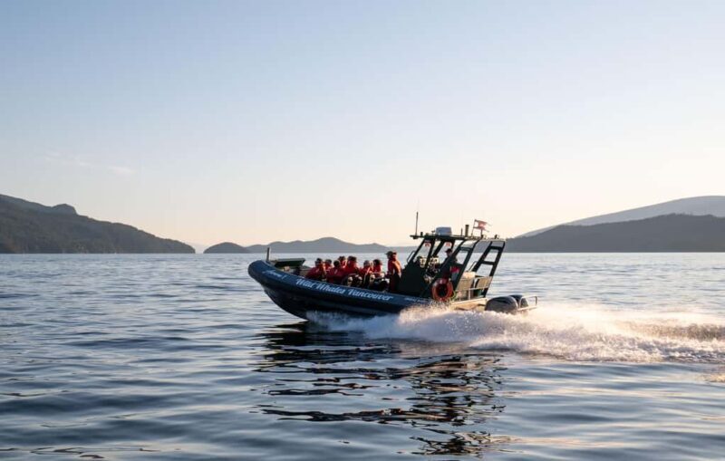 Vancouver: Zodiac Whale Watching Tour from Granville Island - Who Will Love This Tour?