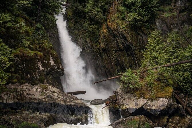 Vancouver's City and Waterfall | Waterfront Sightseeing Tour - Price and Value Analysis