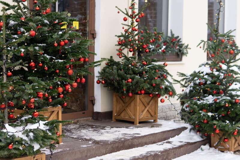Vancouvers Festive Shoreline: A Christmas Walking Tour - A Walk Through Vancouver’s Holiday Lights and Views