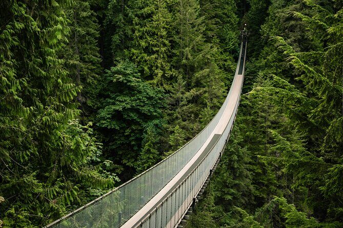 Vancouver's Finest Private Sightseeing Tour - Exploring the Itinerary: What You Can Expect