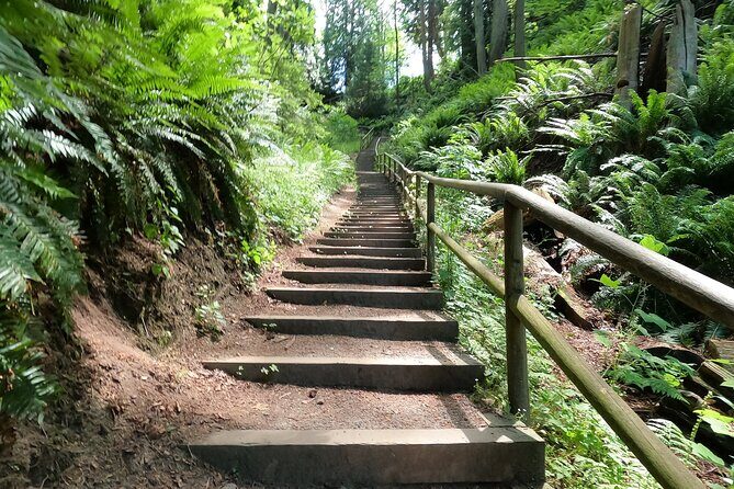 Vancouver's Natural Stair Master Workout, With Beach Walk - An Active Start to Your Vancouver Day