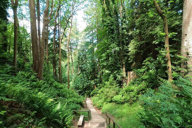 Vancouver's Natural Stair Master Workout, With Beach Walk - What’s Included and Practical Considerations