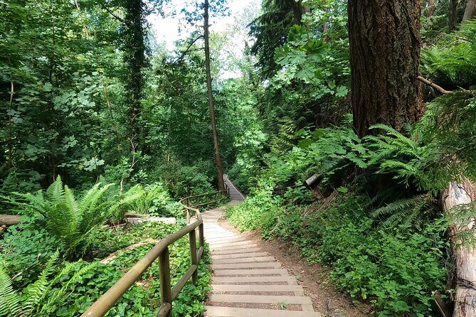Vancouver's Natural Stair Master Workout, With Beach Walk - The Experience Provider