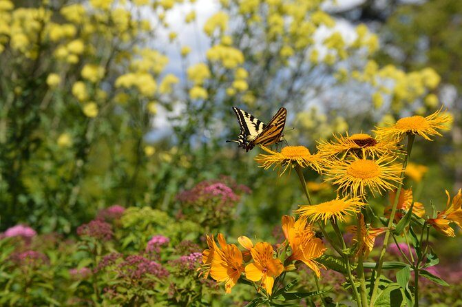 VanDusen Botanical Garden Admission Ticket - Summary of Visitor Feedback