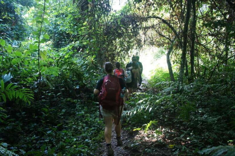 Vang Vieng: Jungle & Caves Full-Day Private Trekking Tour - An In-Depth Look at the Trekking Adventure