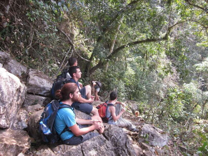 Vang Vieng: Jungle & Caves Full-Day Private Trekking Tour - Who Should Consider This Tour?