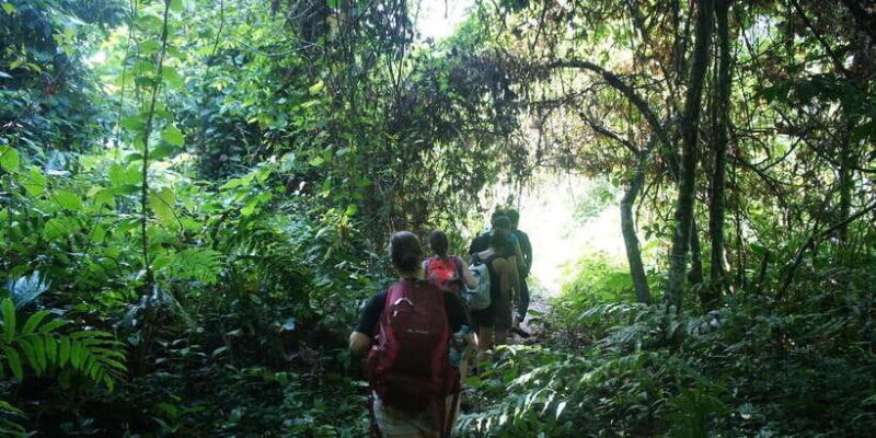 Vang Vieng: Jungle & Caves Full-Day Private Trekking Tour - Final Thoughts