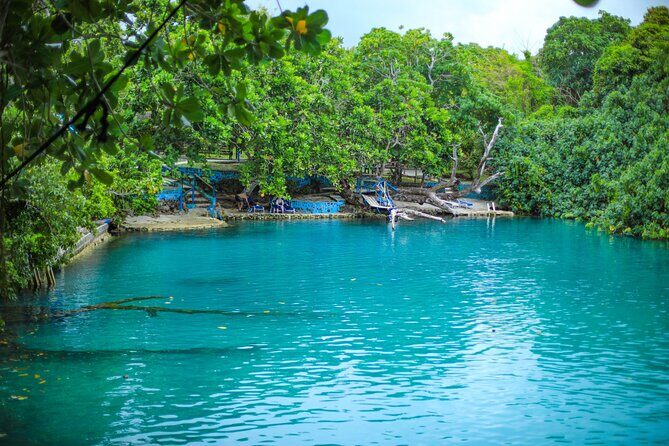 Vanuatu Cultural Village, Waterfalls, Turtles and Blue Lagoon - Authenticity and Customer Feedback