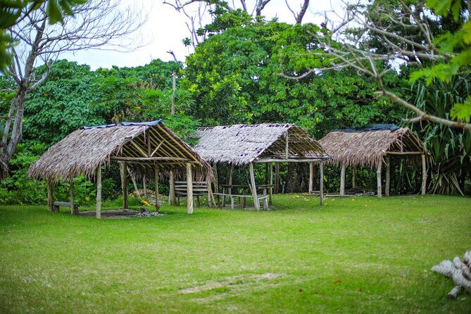 Vanuatu Cultural Village, Waterfalls, Turtles and Blue Lagoon - Frequently Asked Questions