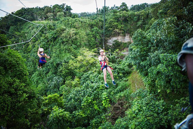 Vanuatu Jungle Zipline - Self Drive Option - An In-Depth Look at the Vanuatu Jungle Zipline Experience