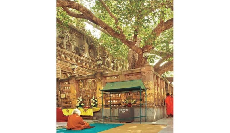 Varanasi to Bodhgaya : A day trip of Enlightment exploration - Varanasi to Bodhgaya: A Day Trip of Enlightenment Exploration