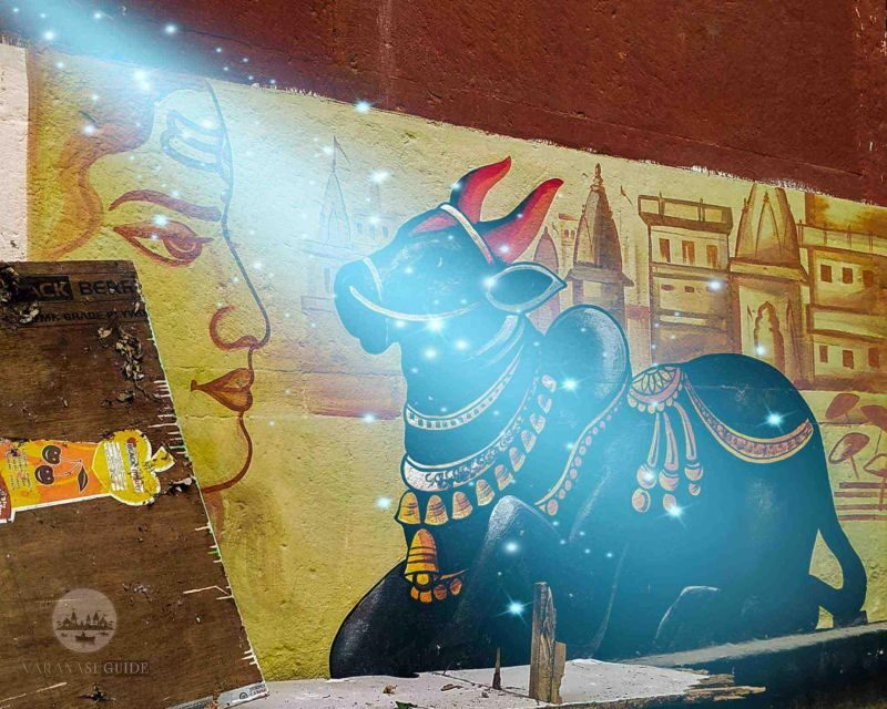 Varanasi Walking and Heritage Tour - Who Should Consider This Tour?