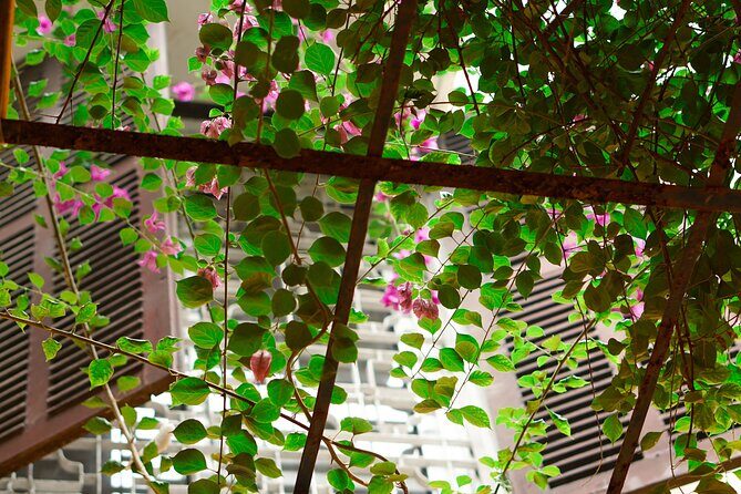 Vegan Cooking Class in Local Villa with Market Visit - Free PickUp & DropOff - Value and Practicalities