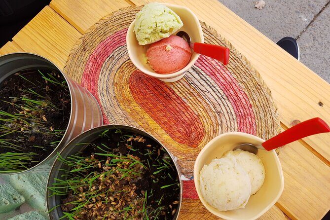 Vegan Food Tour in Mexico City: A Culinary Adventure - Final Thoughts: Who Should Consider This Tour?