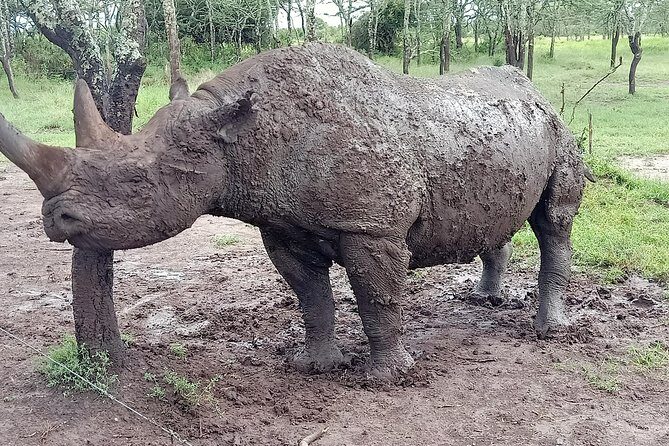 Vegans special safari - Final Thoughts