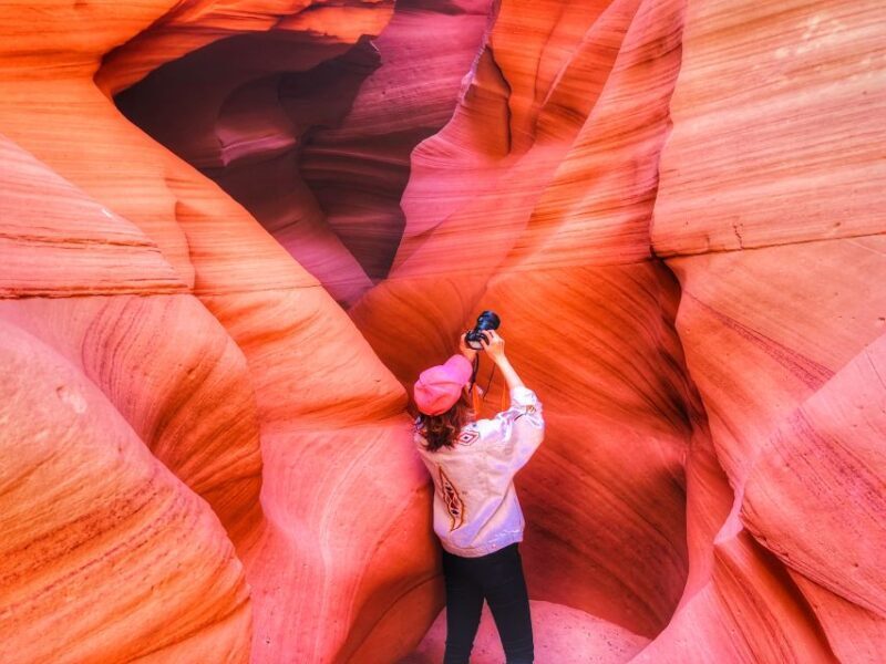 Vegas: Grand Canyon, Antelope Canyon, Horseshoe Bend, & Zion - Authentic insights from travelers’ reviews