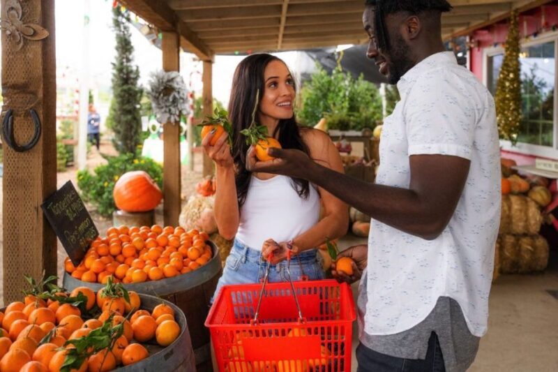 Ventura: Rail Bike Guided Tour with Farm Stand Stop - Exploring the Itinerary and What Makes It Special