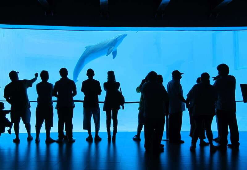 Veracruz: Panoramic Sightseeing City Tour and Aquarium - What to Expect at Each Stop