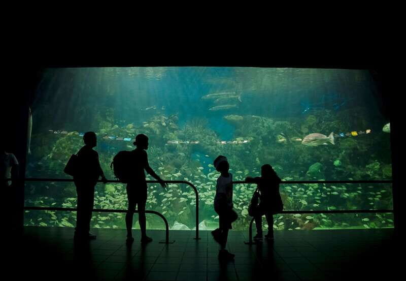 Veracruz: Panoramic Sightseeing City Tour and Aquarium - FAQ
