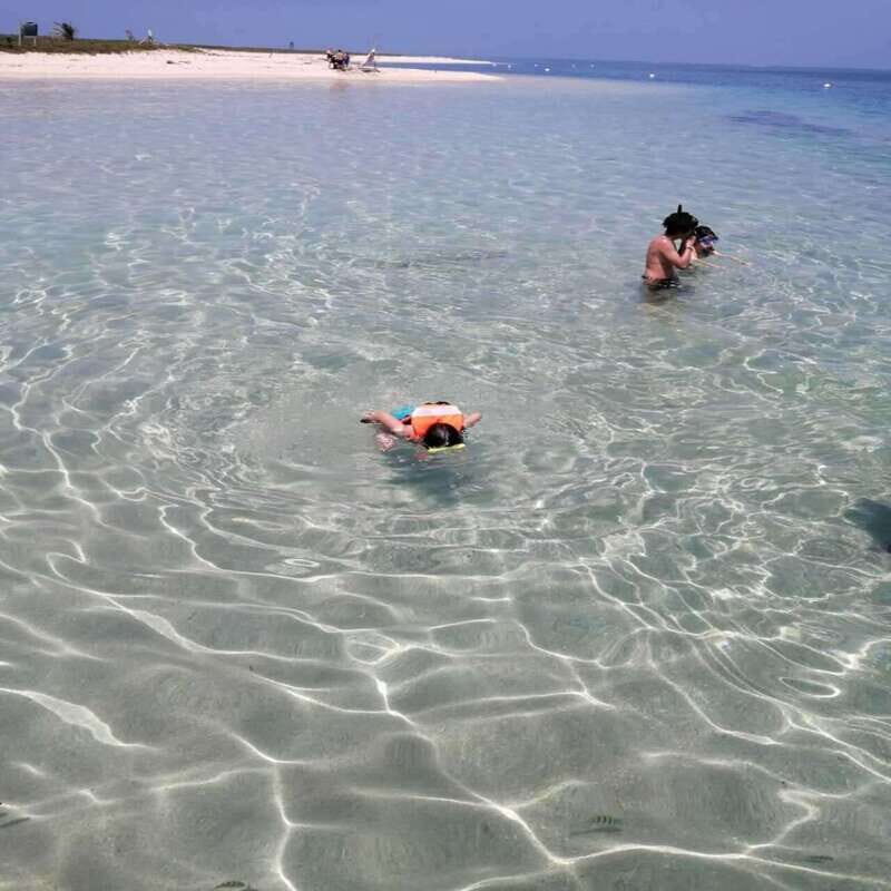 Veracruz: Snorkeling Adventure at Isla de En Medio - Authentic Experiences and Realities
