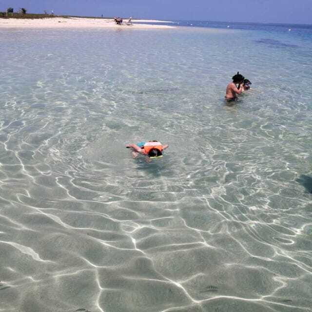 Veracruz: Snorkeling Adventure at Isla de En Medio - The Sum Up