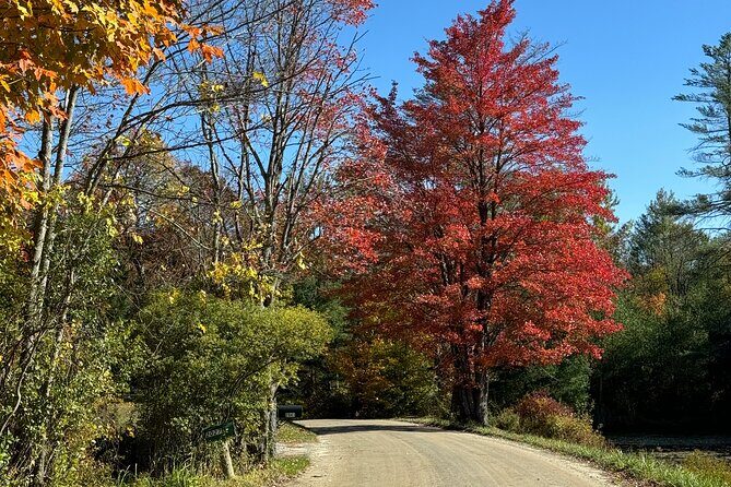 Vermont Wayfinders Fall Foliage Private Tour - A Closer Look at the Vermont Wayfinders Fall Foliage Tour