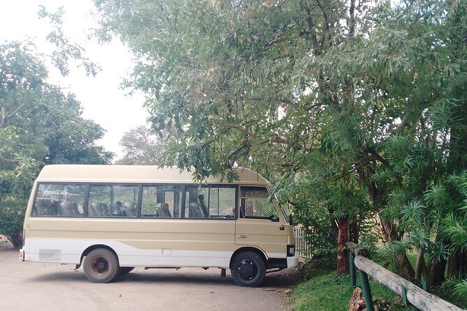 VFA Victoria Falls Airport One Way Transfers - Who Will Benefit Most?