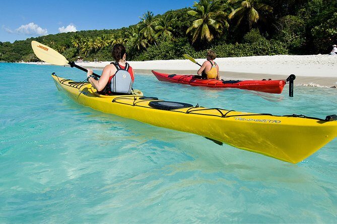 Vi Top Taxi &Tours -Airport Transfer Bluebeard's/Yacht Haven - Who Should Consider This Service?
