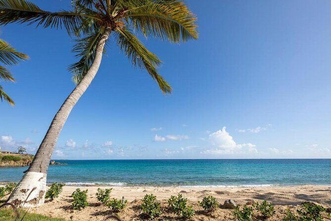 Vi Top Taxi & Tours -Airport Transfer to Bolongo Bay/ Limetree - Who is This Service Best For?