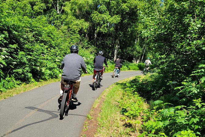 Viator Exclusive: Go eBike Alaska on Tony Knowles Trail - Summary: Who Will Love This Tour?