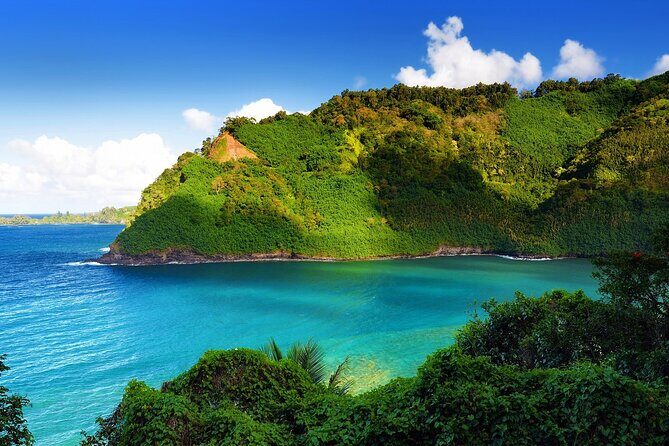 Viator Exclusive: Maui Tropical Rainforest Small Group Tour - A Day of Sightseeing with Purpose and Perspective