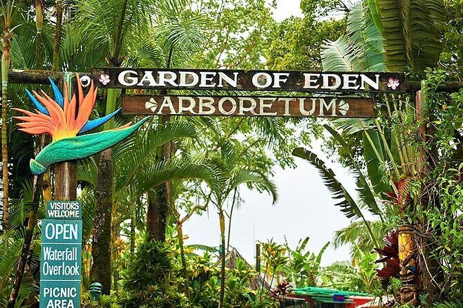 Viator Exclusive: Maui Tropical Rainforest Small Group Tour - The Laid-Back Town of Haiku