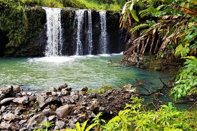 Viator Exclusive: Maui Tropical Rainforest Small Group Tour - Wailua Falls and Waterfall Serenity