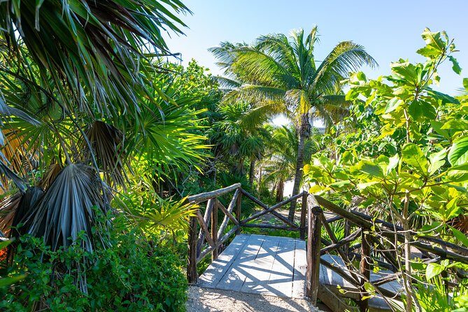 Viator Exclusive: Tulum Ruins, Reef Snorkeling, Cenote and Caves - Who Should Consider This Tour?