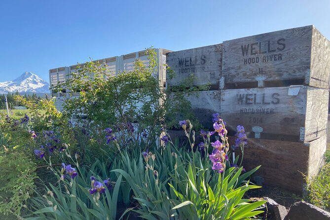 Viator Exclusive: Wyeast Adventure Cycling in Portland - Authentic Feedback and Expectations